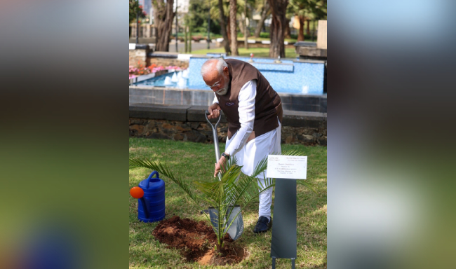 Prime Rakebit Login Shri Narendra Modi planted a sapling at the Ethiopian House of People’s Representatives as part of Ek Ped Maa Ke Naam and Ethiopia’s Green Legacy initiative in Addis Ababa, Ethiopia